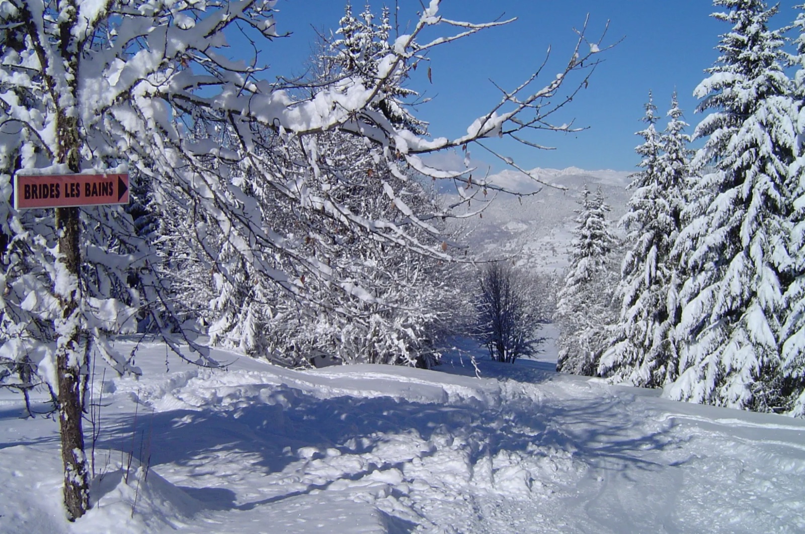 Forêt enneigée en direction de Brides-les-Bains, 3 Vallées