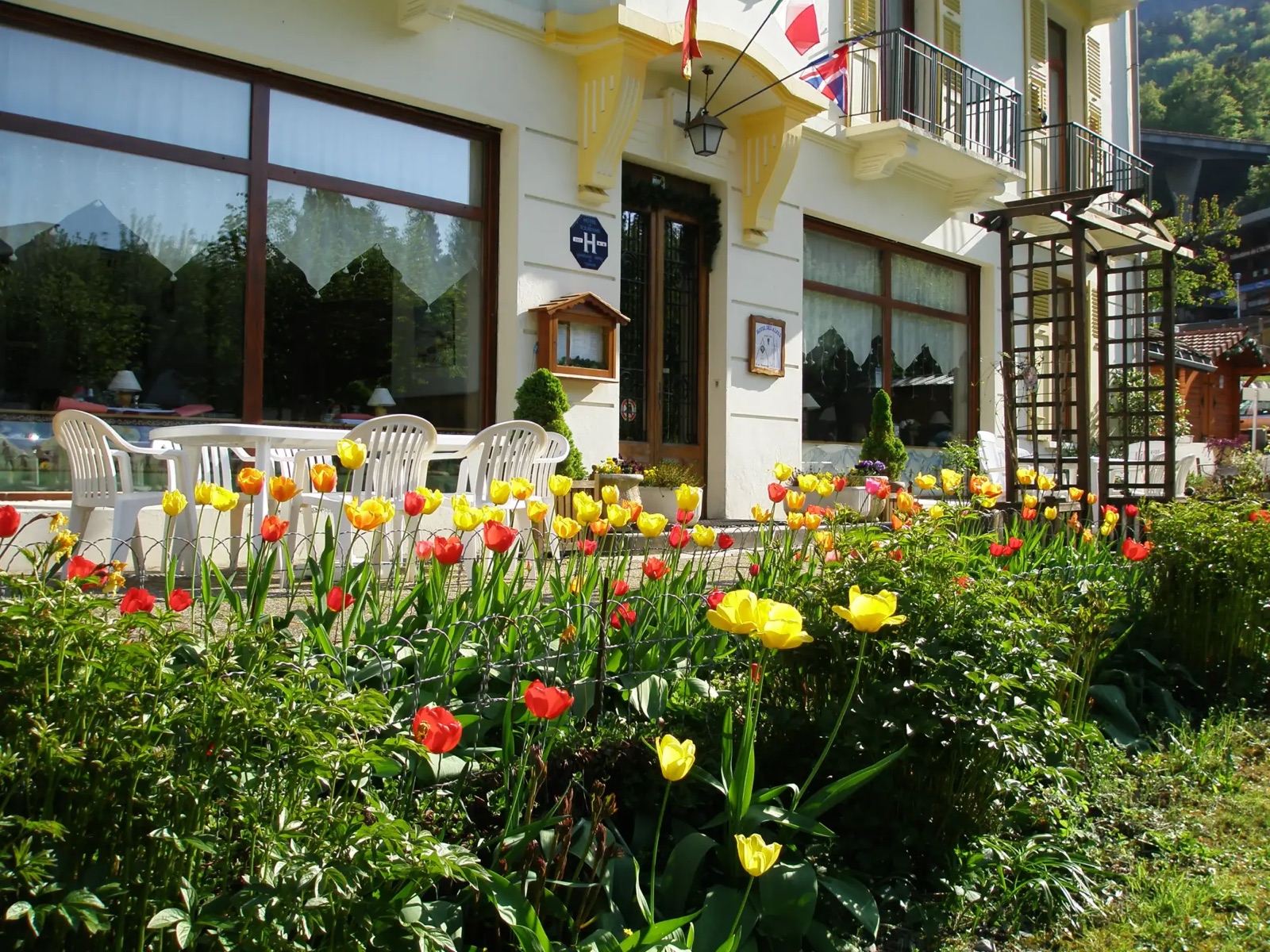 Terrasse fleurie de tulipes devant l'Hôtel des Alpes
