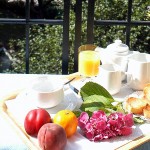 Plateau petit déjeuner - Hôtel des Alpes - Brides les bains